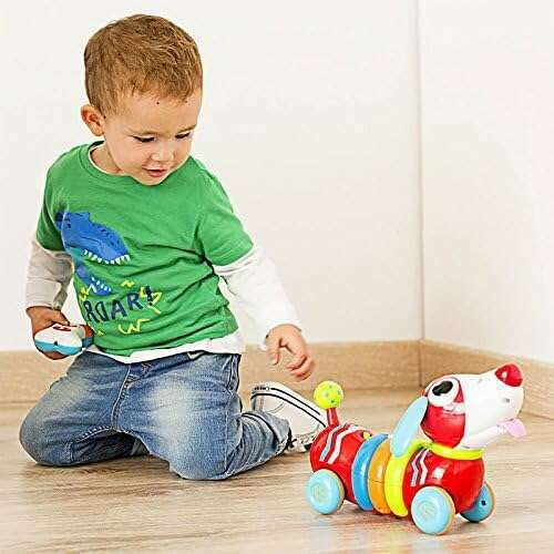 Remote Control Rainbow Puppy toddler's toys Remote Control Rainbow Puppy Remote Control Rainbow Puppy WinFun