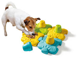 Galileo Lab Your Pet Activity Set